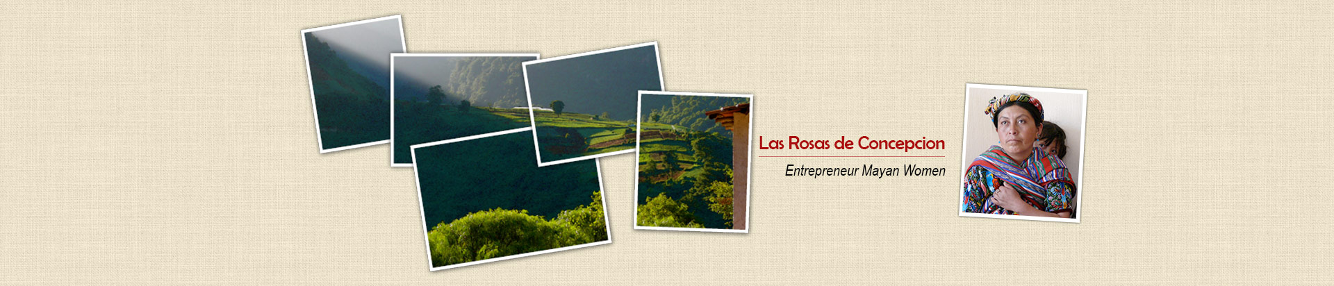 Las Rosas de Concepcion - Entrepreneur Mayan Women